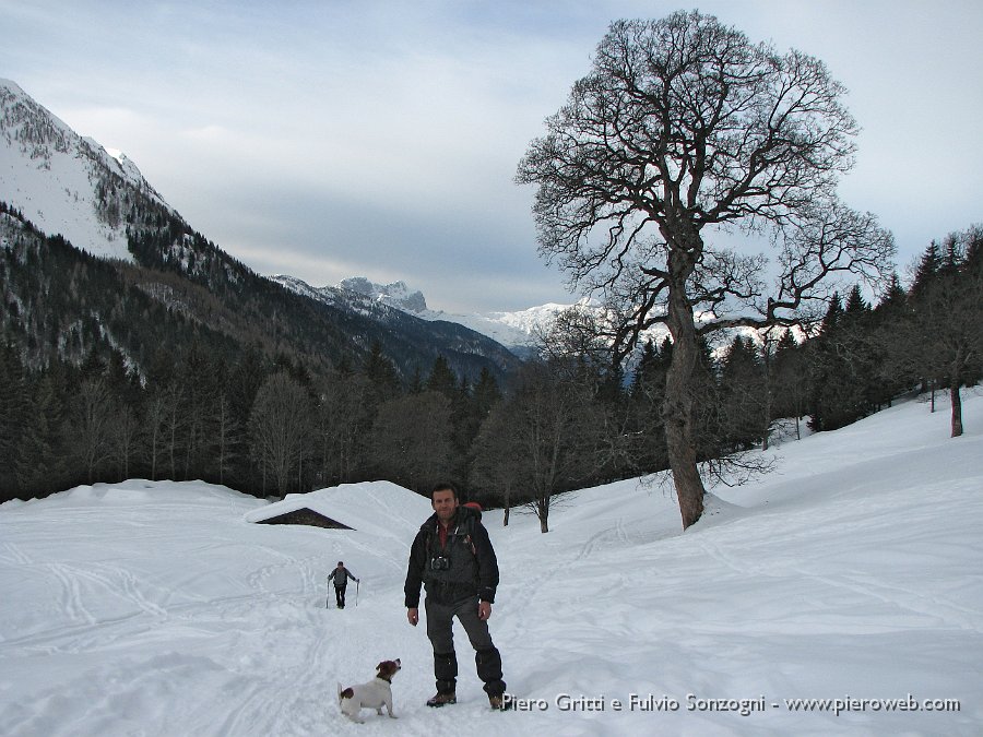 12 Alla Malga Cimalbosco con la Presolana da sfondo.jpg